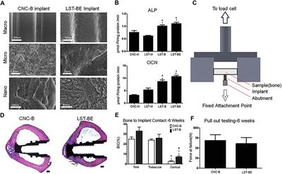 Surface Modification Techniques to Produce Micro/Nano-scale Topographies on Ti-Based Implant Surfaces for Improved Osseointegration